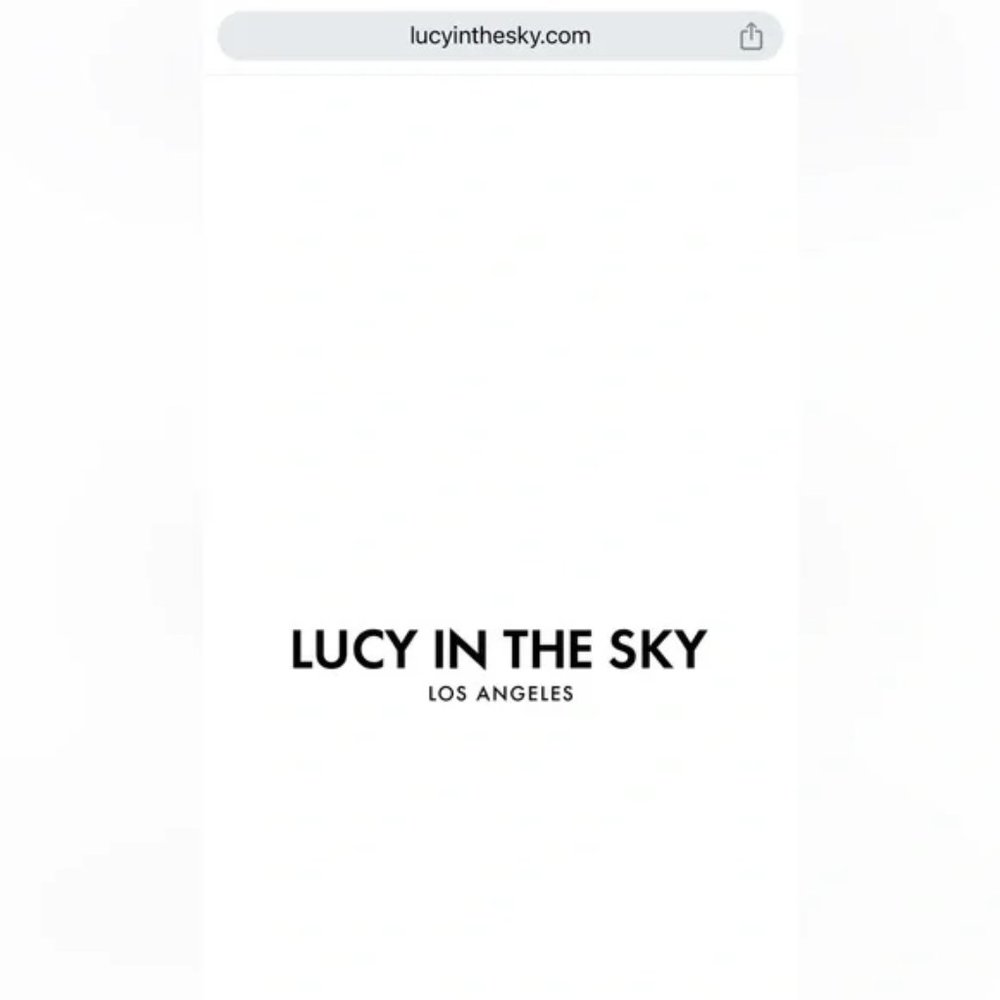 Lucy in the Sky Store Credit